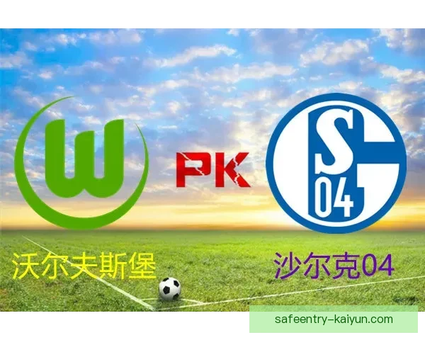 德甲沃尔夫斯堡引援动态分析，状态提升值得关注